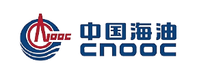 中国海迪.png