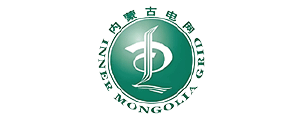 内蒙古电网.png